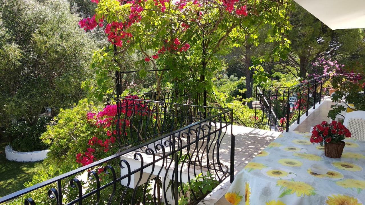 Polymnia Apartments Spartia  Dış mekan fotoğraf